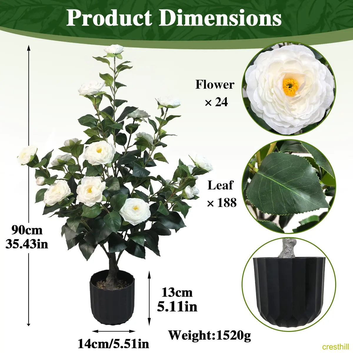 Two 3-foot camellia trees, complete with decorative pebbles and a flower pot