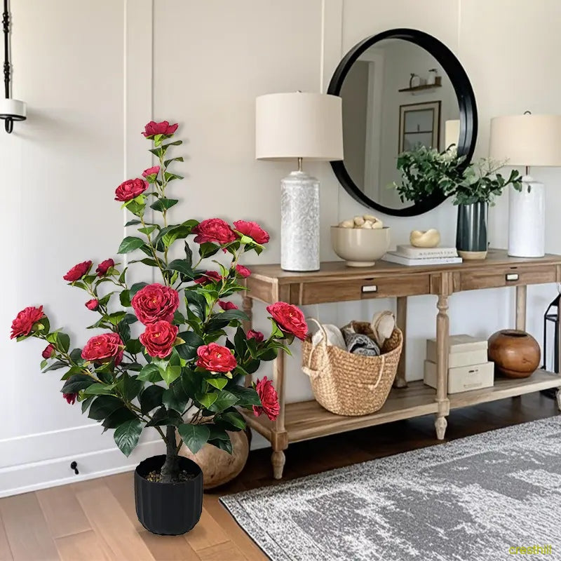 Two 3-foot camellia trees, complete with decorative pebbles and a flower pot